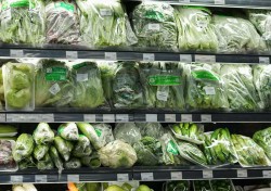 Cách bảo quản rau củ tươi ngon, hiệu quả đúng cách