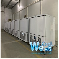 Tìm hiểu đặc điểm cơ bản của tủ cấp đông nhanh thực phẩm