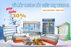 Tủ trưng bày siêu thị Wecool có ưu điểm gì nổi bật?