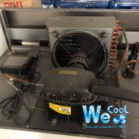Tủ mát 2 cánh kính Đài Loan Wecool