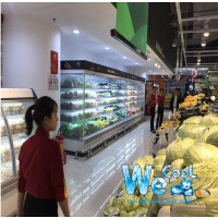 Tủ mát trưng bày SLG 2500F