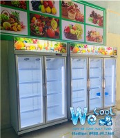 Tủ  bảo quản hoa quả 2 cánh kính