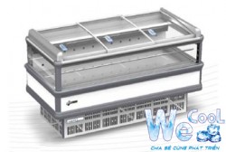 Tủ đông siêu thị - Tủ đảo lốc trong