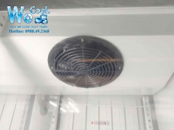 Tủ đông 2 cánh kính Berjaya