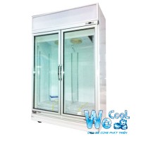 Tủ mát 2 cánh kính Đài Loan Wecool