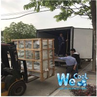 Tủ trưng bày bánh sinh nhật