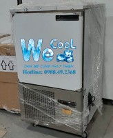 Tủ cấp đông nhanh Việt Nam