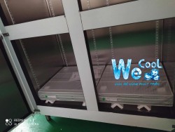 Tủ đông 4 cánh Berjaya