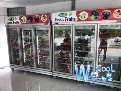 Tủ mát 1 cánh kính Berjaya