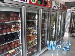 Tủ mát 1 cánh kính Berjaya