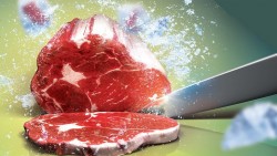 Tủ cấp đông nhanh là gì? Sử dụng sao cho đúng?