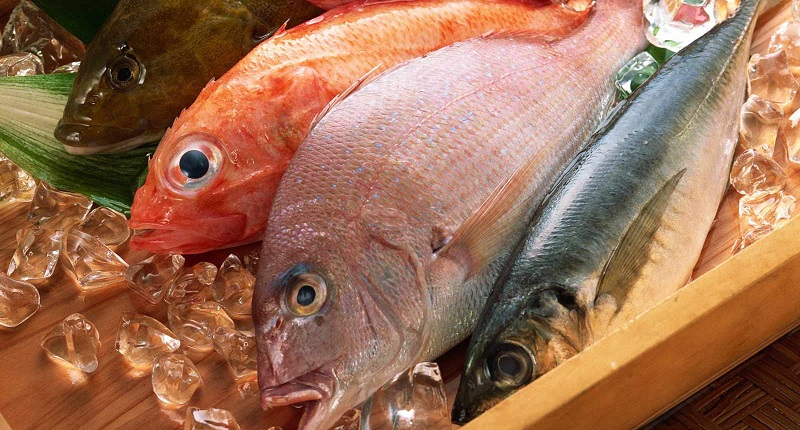 tu cap dong nhanh wecool